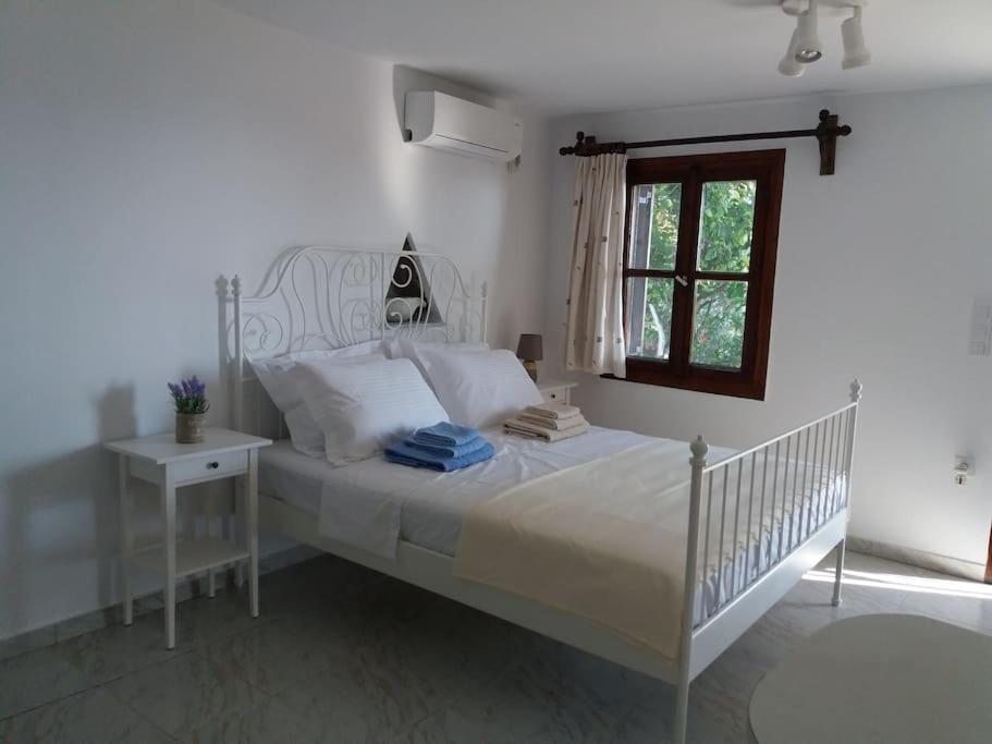 Grandpa Simos' Traditional Guest House Άγιος Ρομανός Εξωτερικό φωτογραφία