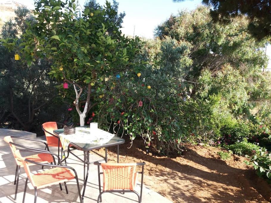 Grandpa Simos' Traditional Guest House Άγιος Ρομανός Εξωτερικό φωτογραφία