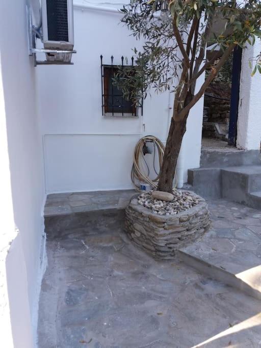 Grandpa Simos' Traditional Guest House Άγιος Ρομανός Εξωτερικό φωτογραφία