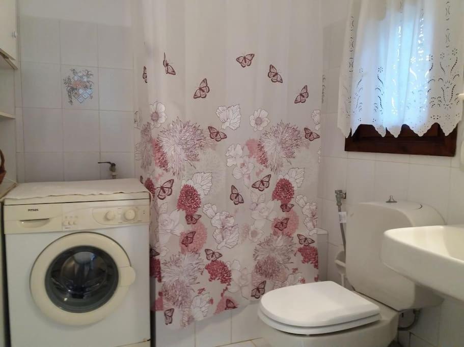Grandpa Simos' Traditional Guest House Άγιος Ρομανός Εξωτερικό φωτογραφία