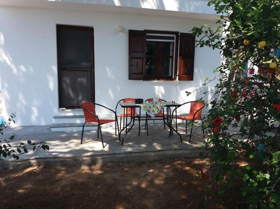 Grandpa Simos' Traditional Guest House Άγιος Ρομανός Εξωτερικό φωτογραφία