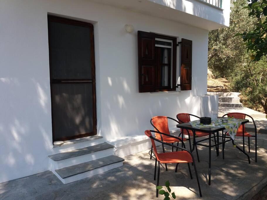 Grandpa Simos' Traditional Guest House Άγιος Ρομανός Εξωτερικό φωτογραφία