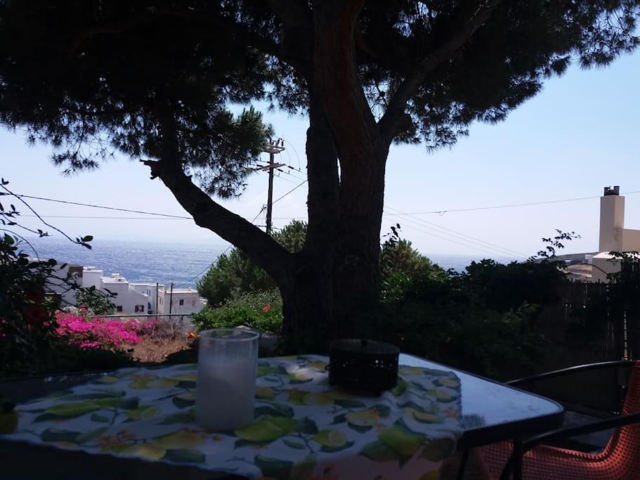 Grandpa Simos' Traditional Guest House Άγιος Ρομανός Εξωτερικό φωτογραφία