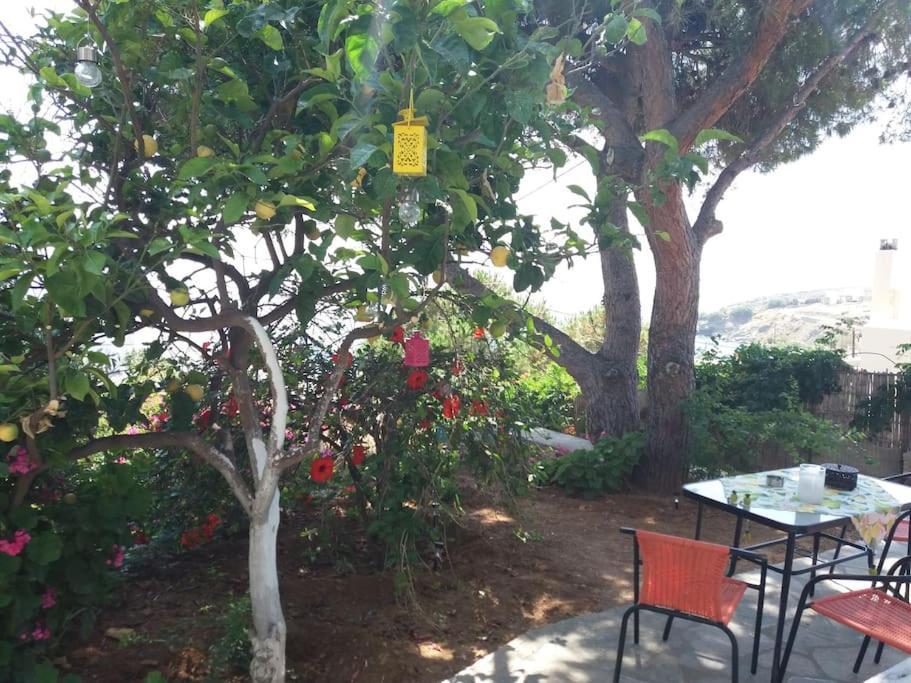 Grandpa Simos' Traditional Guest House Άγιος Ρομανός Εξωτερικό φωτογραφία