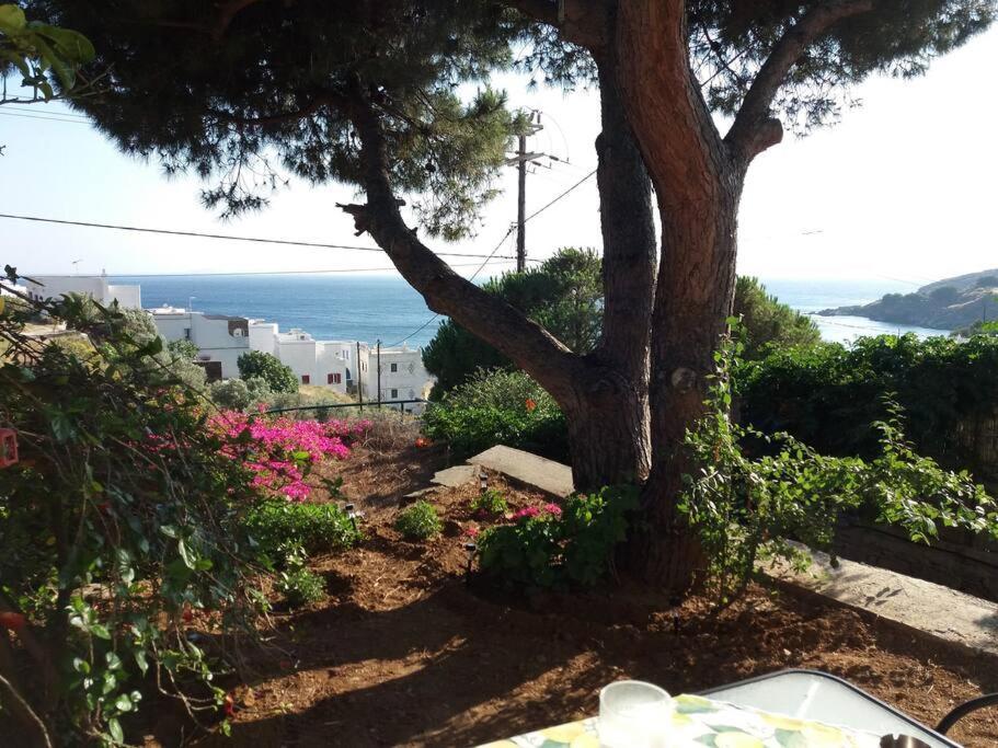 Grandpa Simos' Traditional Guest House Άγιος Ρομανός Εξωτερικό φωτογραφία